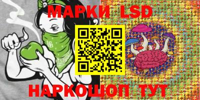 стаф Бугуруслан