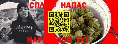 трава Будённовск